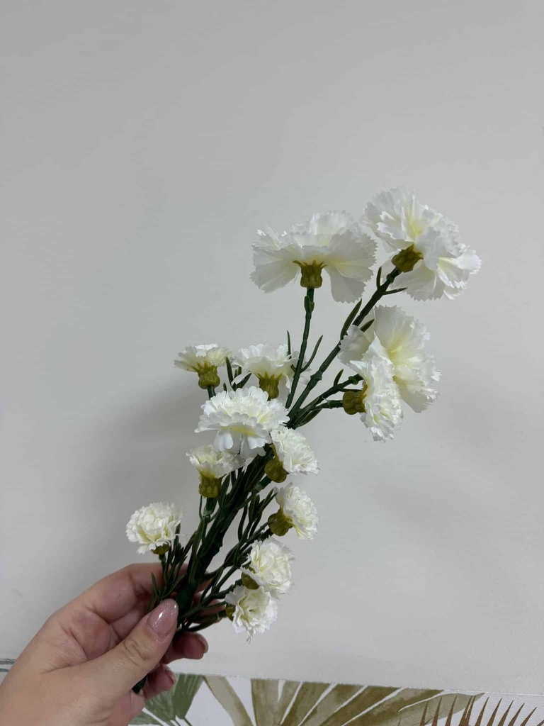 Clavelinas (Blanco)