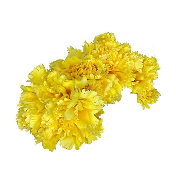 Corona de claveles (+colores) (Amarillo)